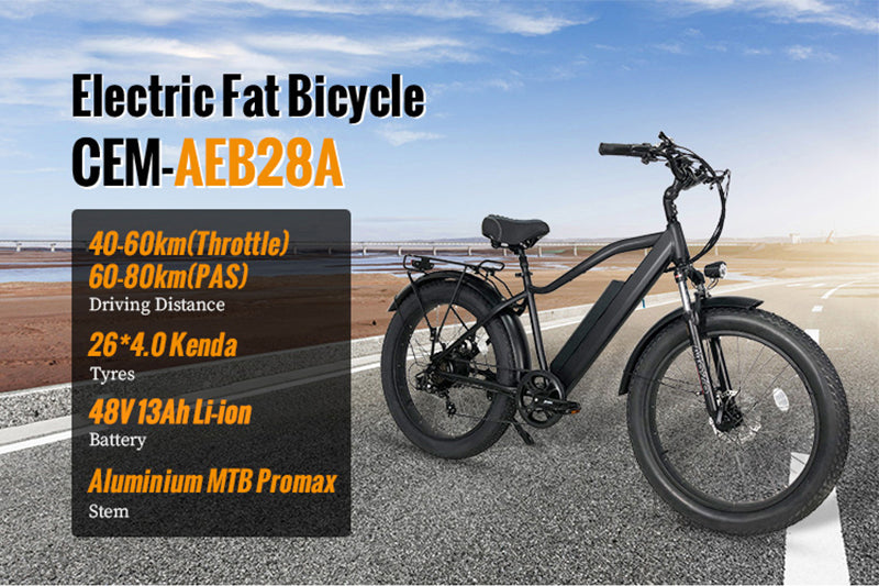 B28A Fat Tire Electric Bike 750W Motor 48V 15.6Ah Battery