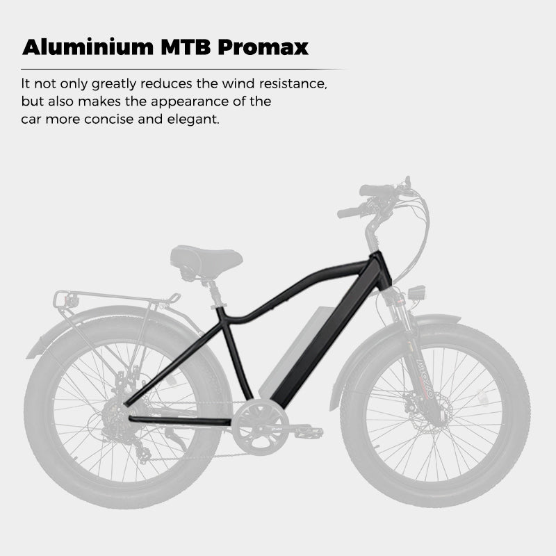 B28A Fat Tire Electric Bike 750W Motor 48V 15.6Ah Battery