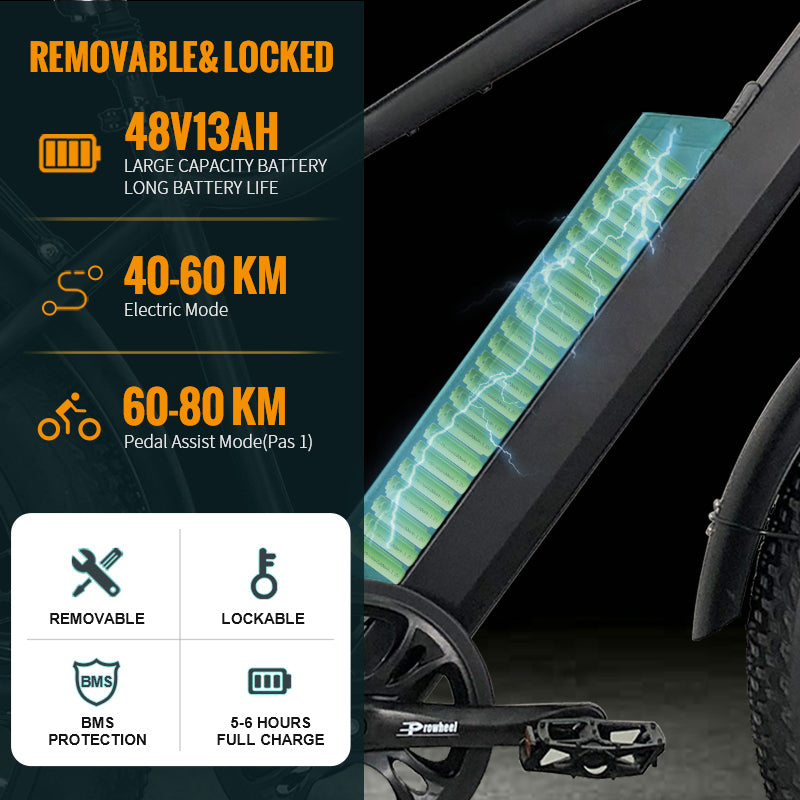 B28A Fat Tire Electric Bike 750W Motor 48V 15.6Ah Battery