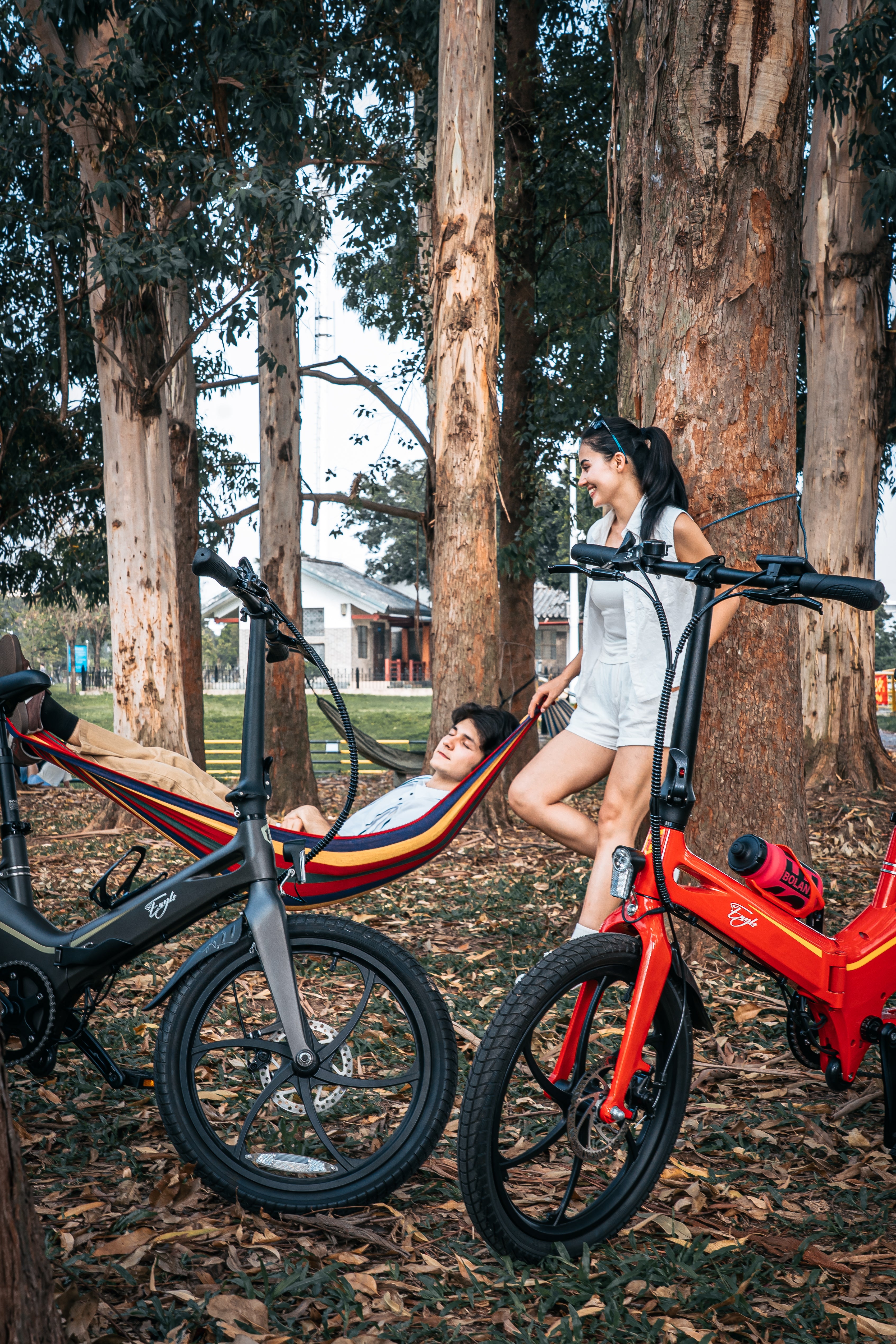 ONEBOT-Eagle folding Electric Bicycle 