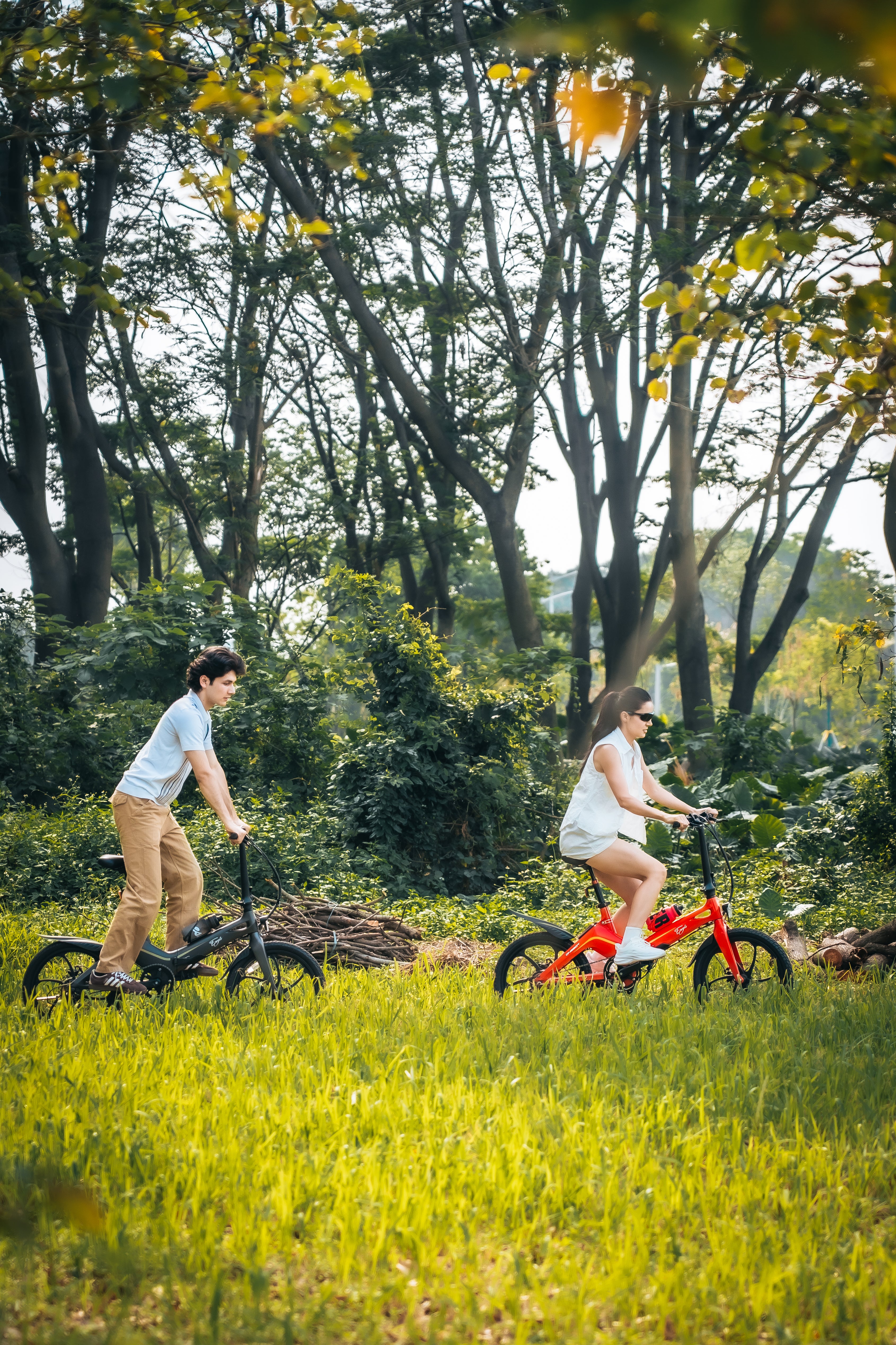 ONEBOT-Eagle folding Electric Bicycle 