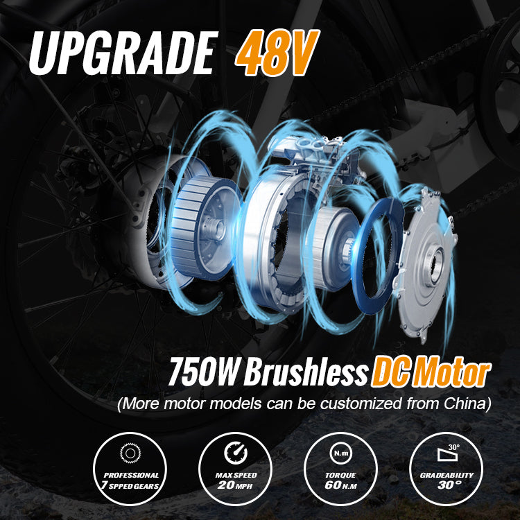 B09A Fat Tire Electric Bike 750W Motor 48V 15Ah Battery