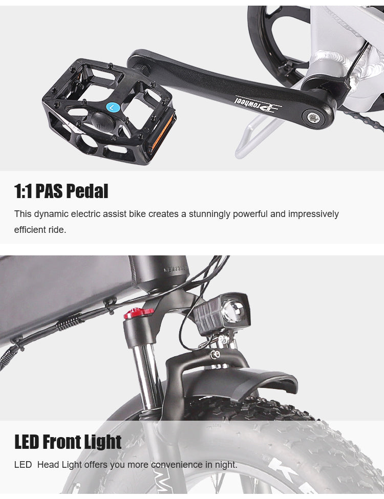 B20AX Fat Tire Folding Electric Bike 750W Motor 48V 13Ah Battery