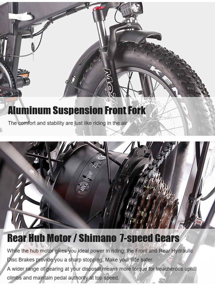 B20AX Fat Tire Folding Electric Bike 750W Motor 48V 13Ah Battery