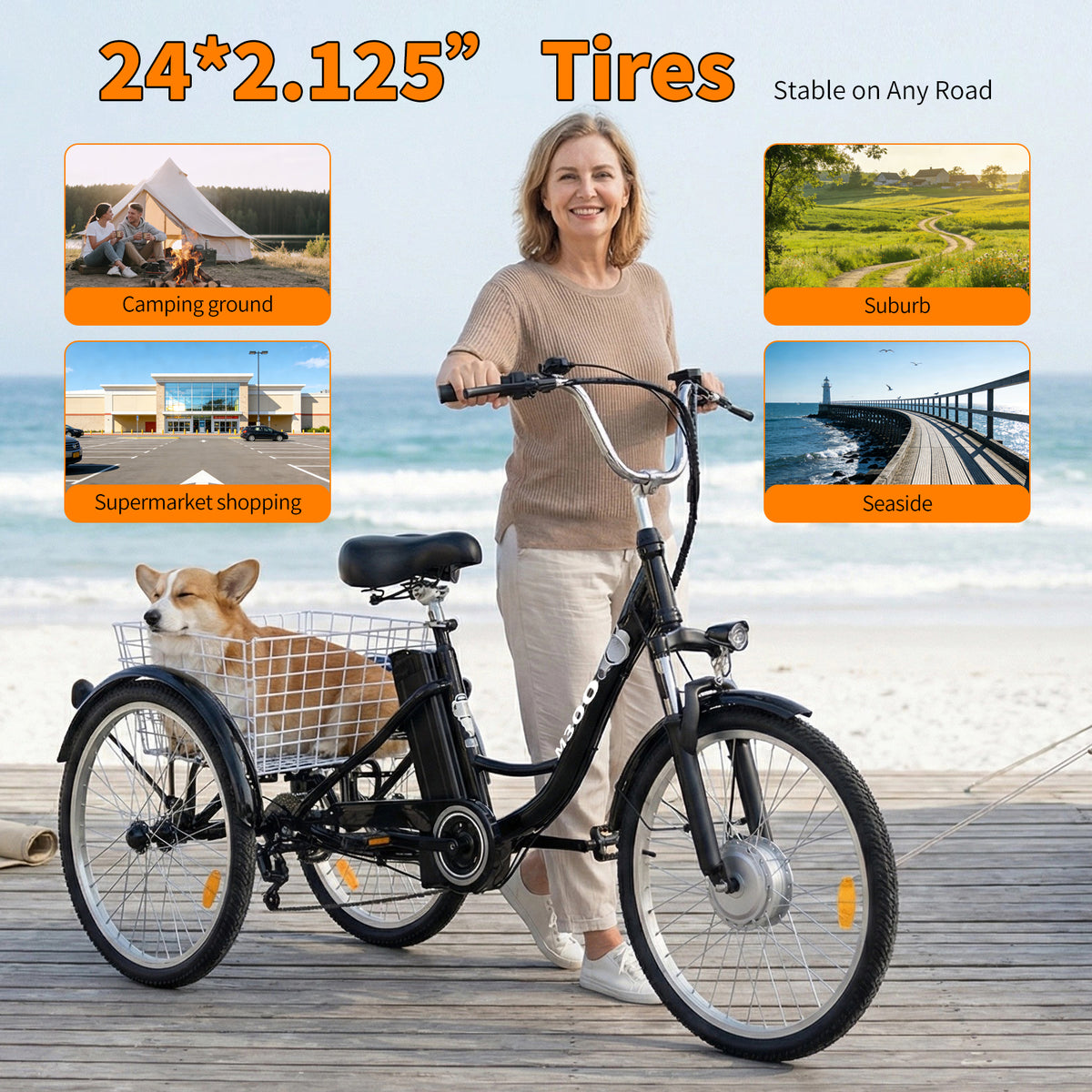 M300 — Electric Tricycle (with transmission)