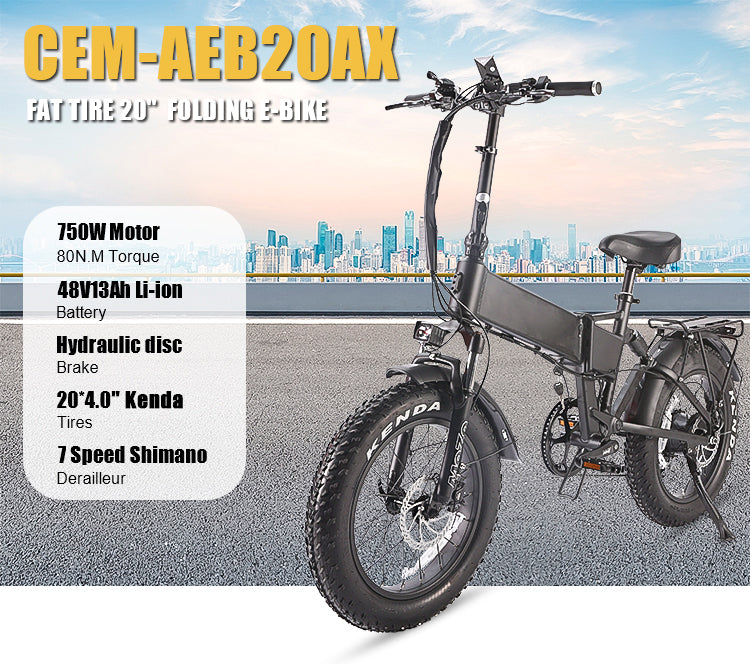 B20AX Fat Tire Folding Electric Bike 750W Motor 48V 13Ah Battery