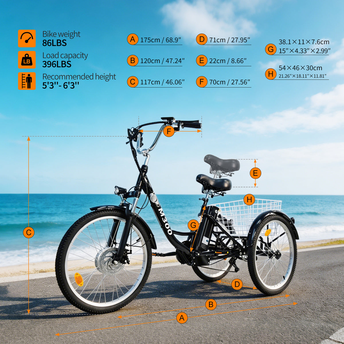 M300 — Electric Tricycle (with transmission)
