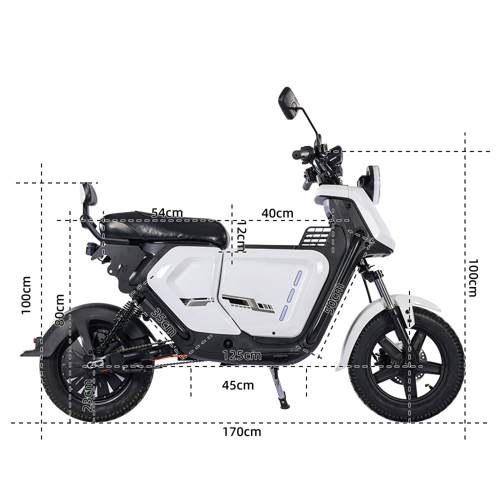 UB12-1500W Electric Motorcycle
